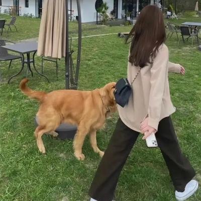 追查 第一章